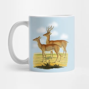 Deers  Illustration Mug